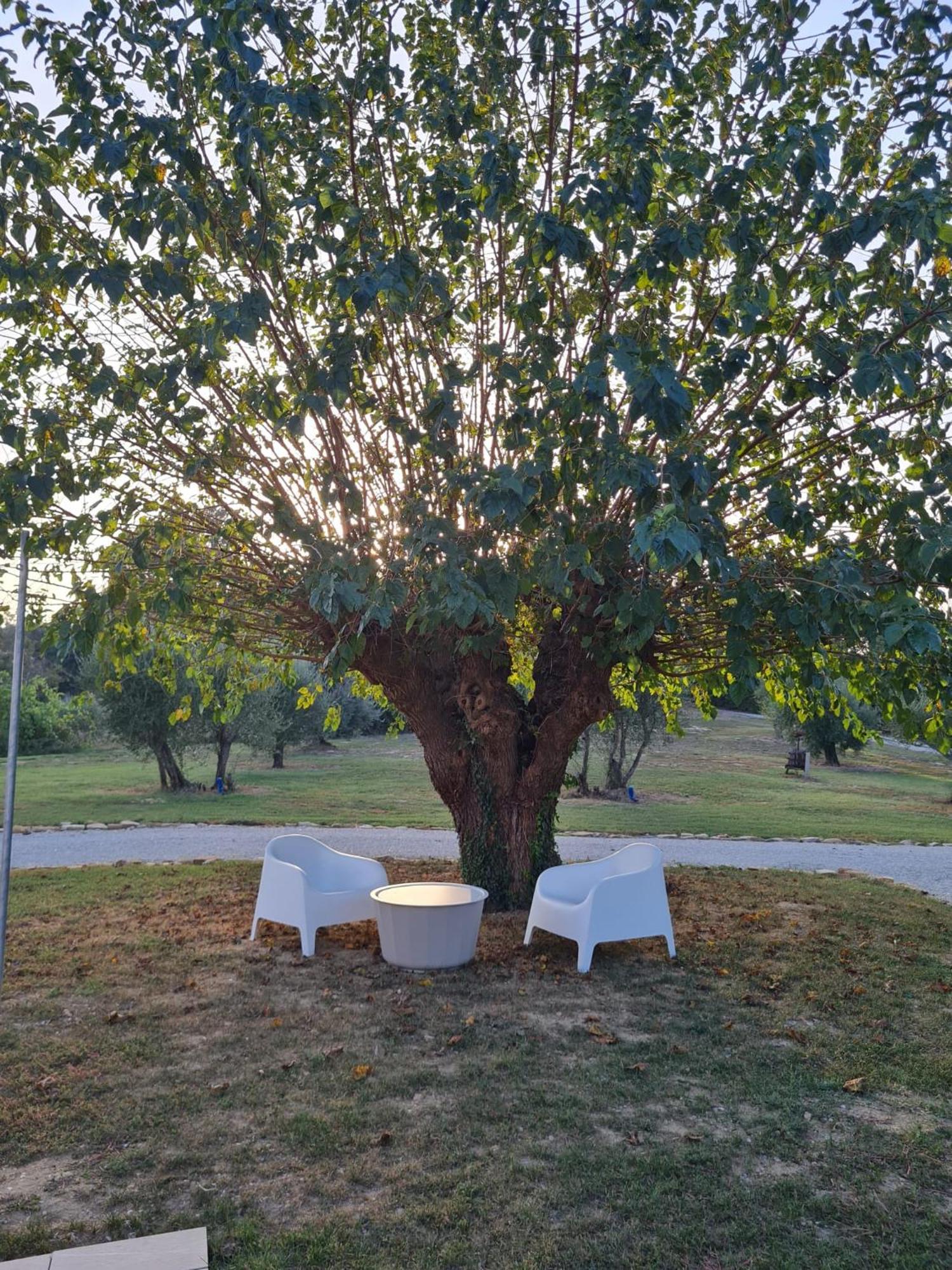 Vila Orto Della Lepre Montemaggiore al Metauro Exteriér fotografie